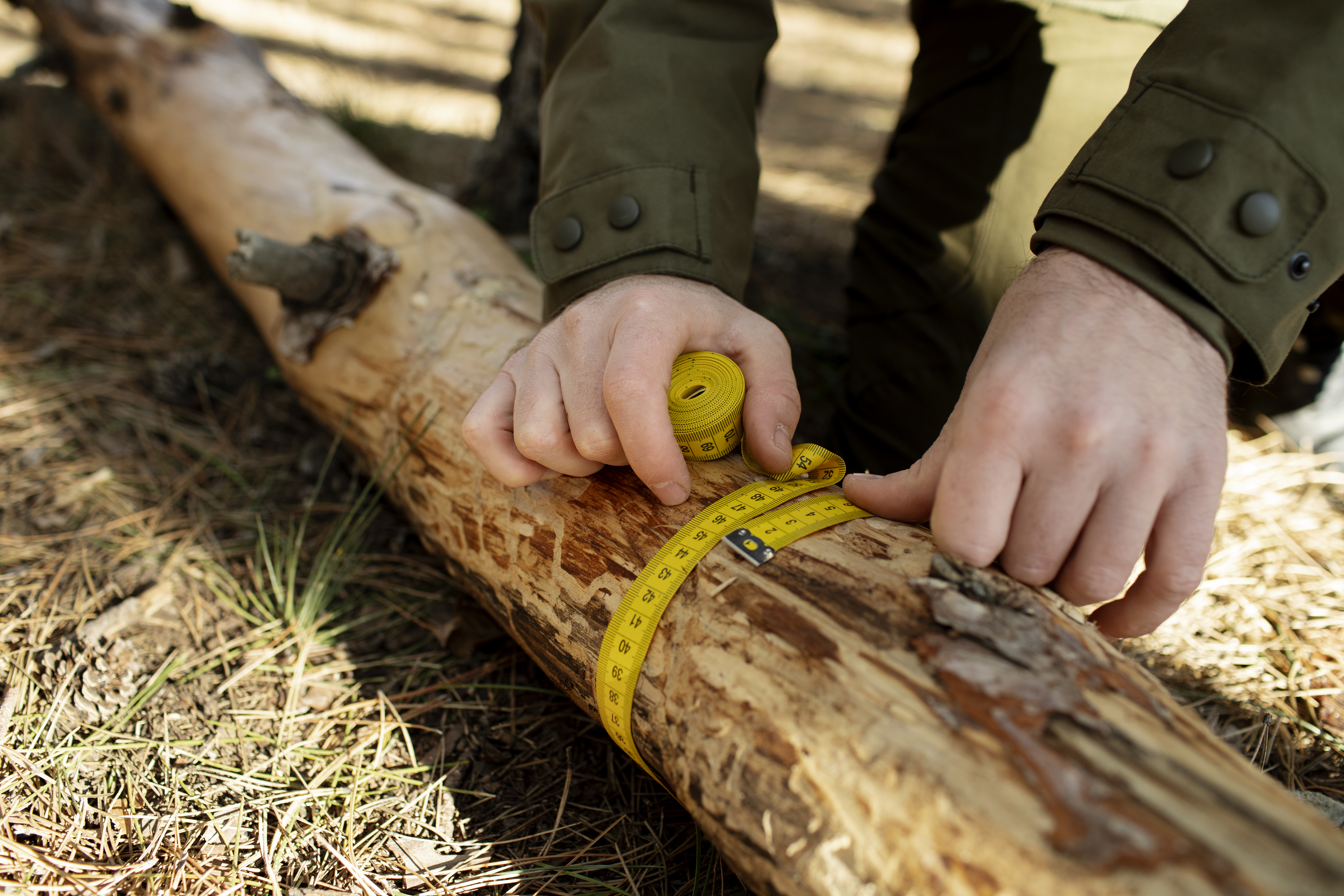 close-up-park-ranger-woods